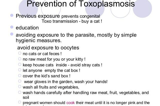 Prevansyon toxoplasmosis (toxoplasma)