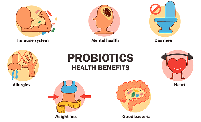 Probiotika: hvad er deres fordele?