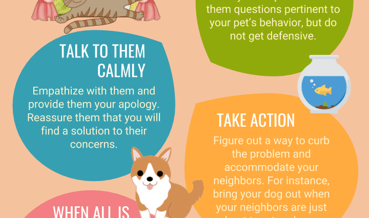 Problem: what to do if your pet is suddenly angry