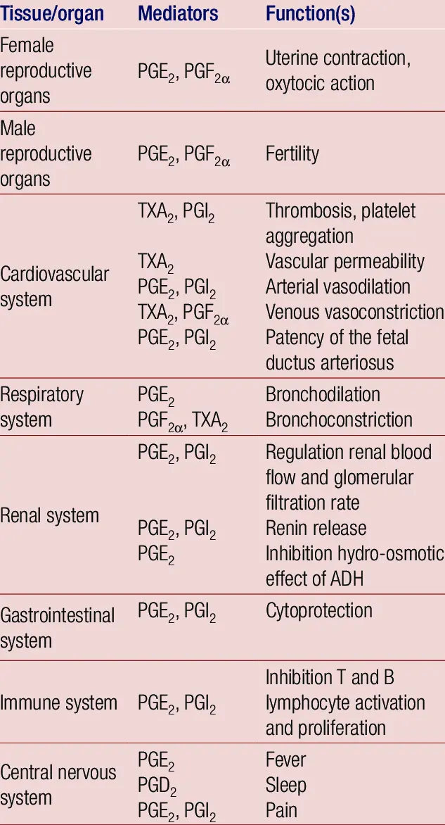 Prostaglandin: what is the role of this hormone?