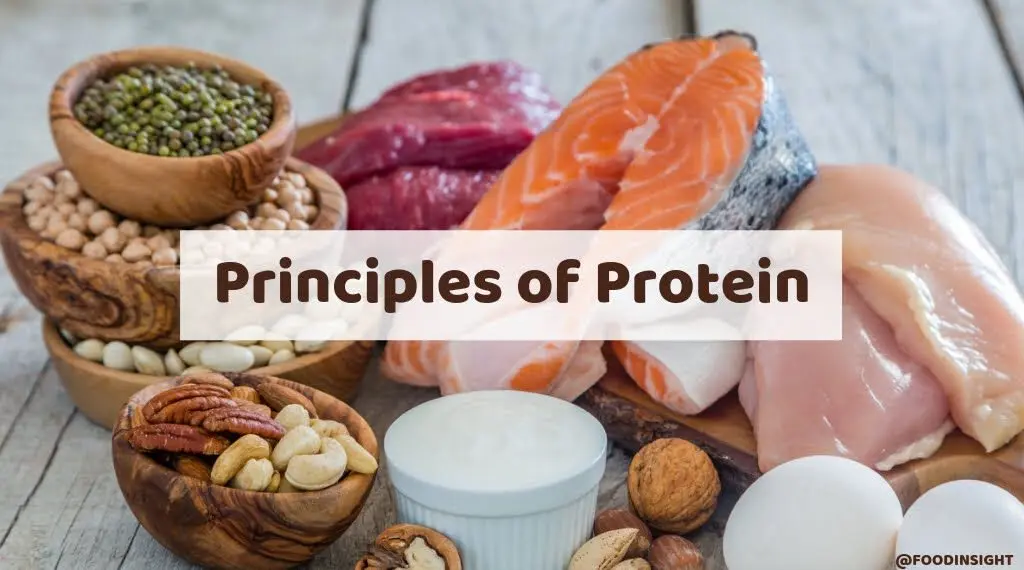 Protein content in foods. Video