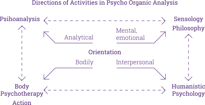 Psycho-organic analysis