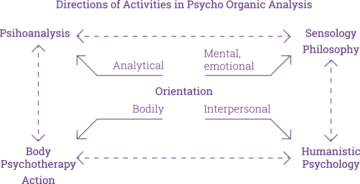 Psycho-organic analysis