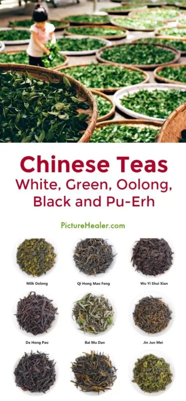 Pu-erh, oolong, white, green and black tea: comparison, benefits for the body