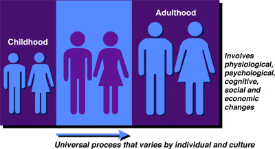 Puberty in girls, transition to adulthood