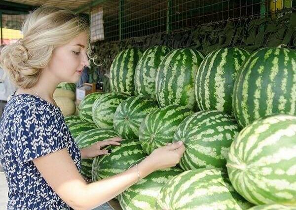 Pumped up watermelons: the content of nitrates and pesticides in watermelons, how to check