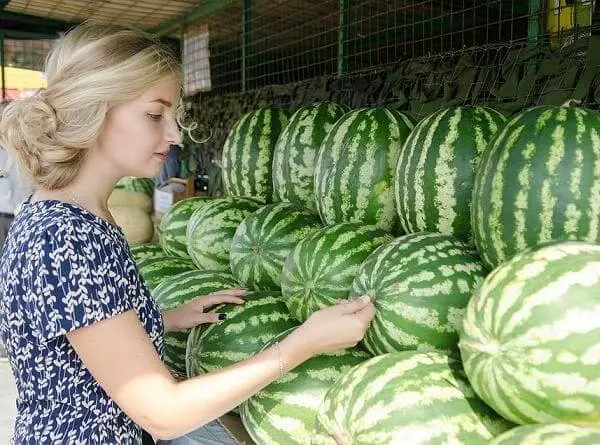 Pumped up watermelons: the content of nitrates and pesticides in watermelons, how to check