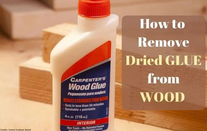 PVA glue stain: how to remove it from clothes and furniture?