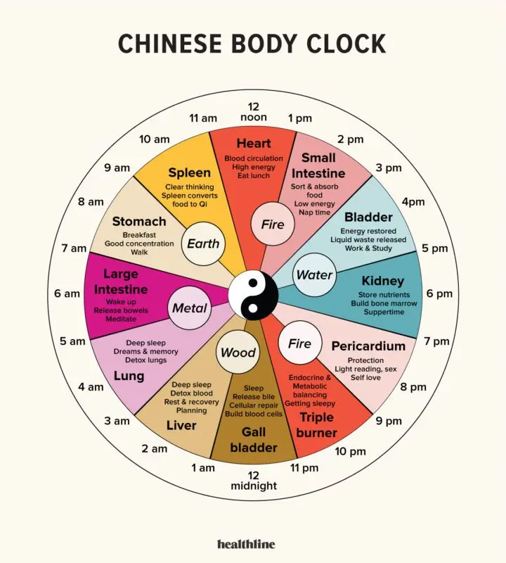 Qi energy affects the internal organs