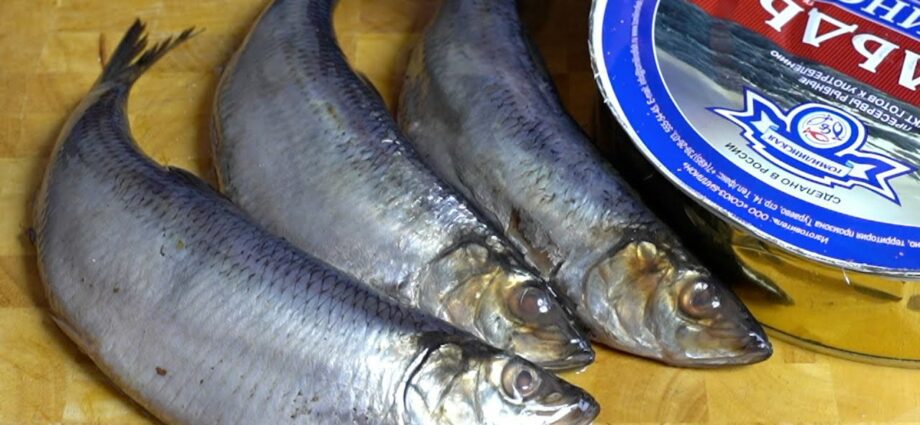 Quick cutting of herring without bones, video