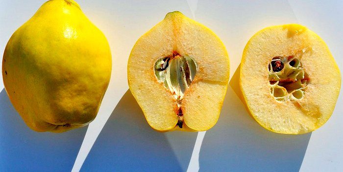 Quince: an autumn fruit against ailments