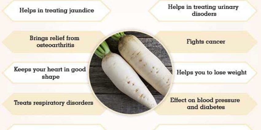 Radish benefits and harms to the human body: radish juice