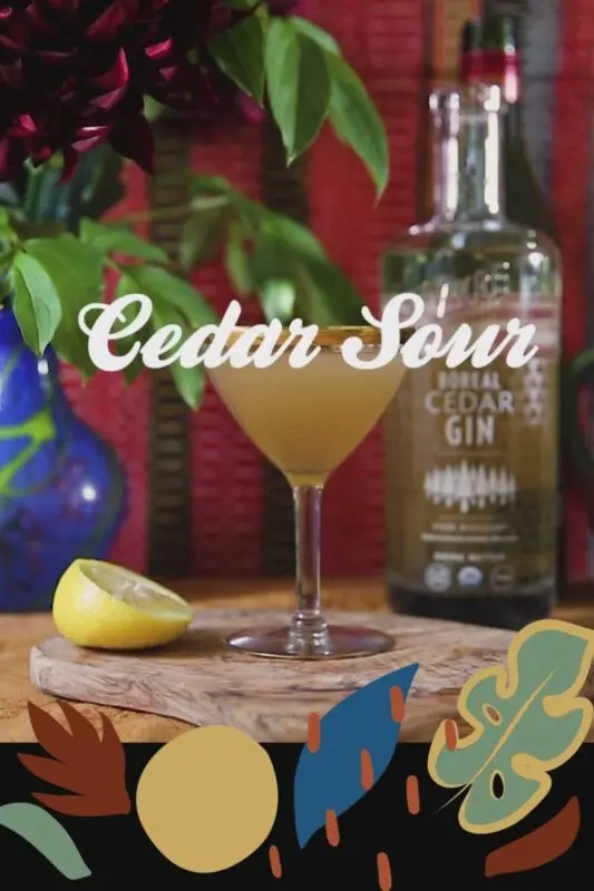 Recipe for making cedar liqueur. Video