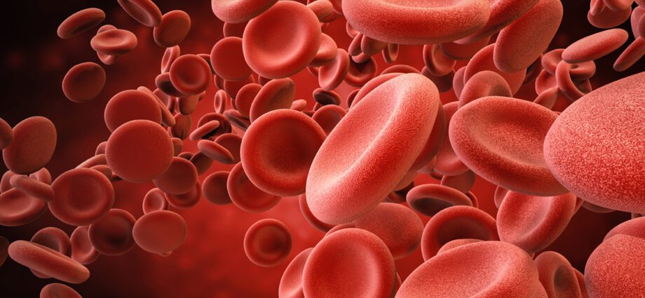 Red blood cells: all you need to know about red blood cells