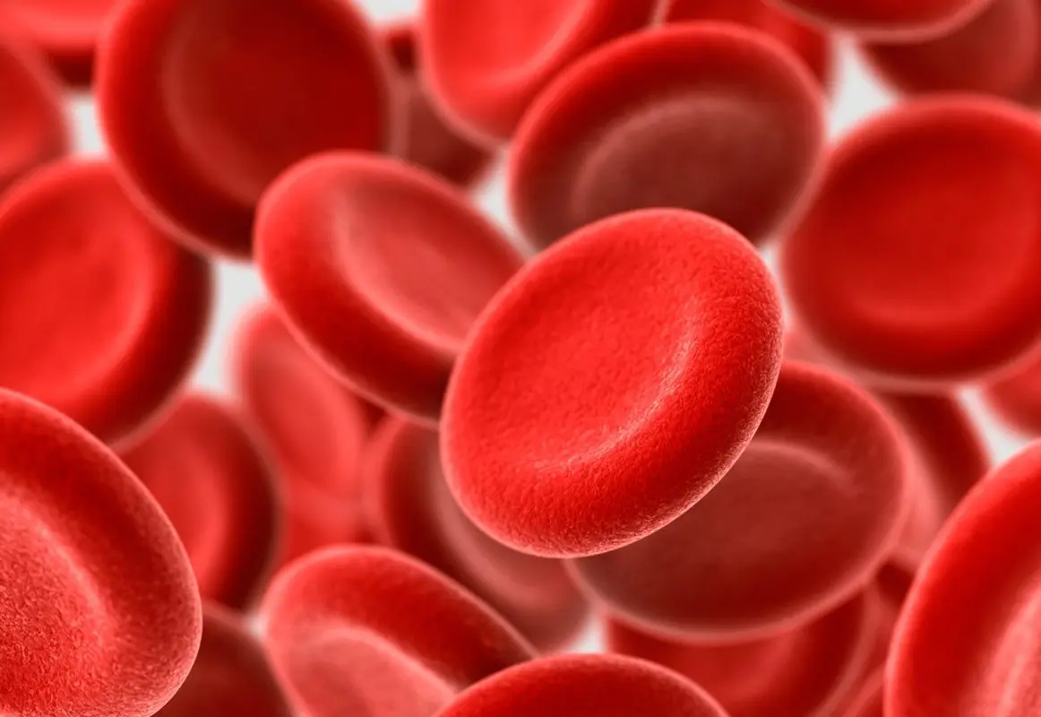 Red blood cells