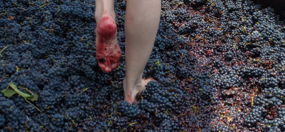 Red grapes for your feet