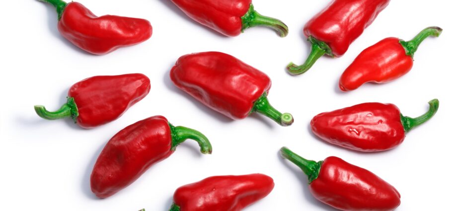 Red hot peppers: the best varieties