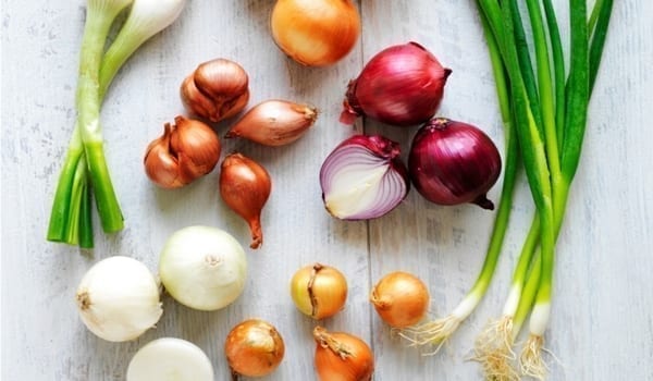 Red onion: varieties