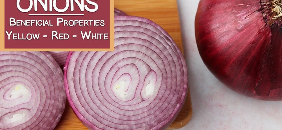 Red onions: beneficial properties. Video