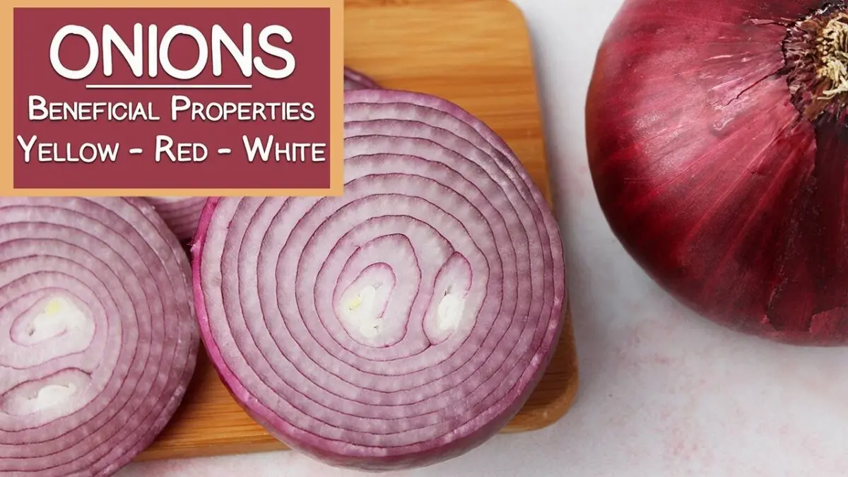 Red onions: beneficial properties. Video