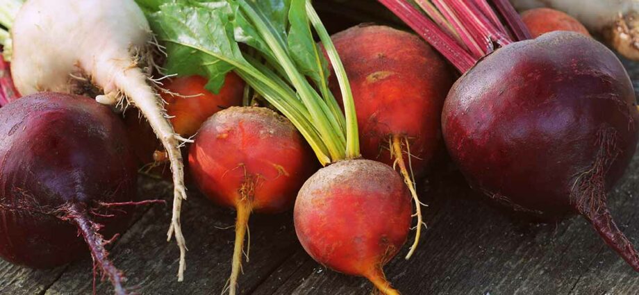 Red sweet beet varieties