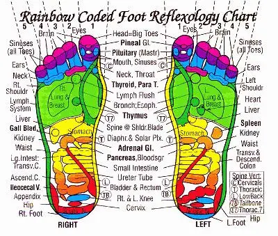 reflexology