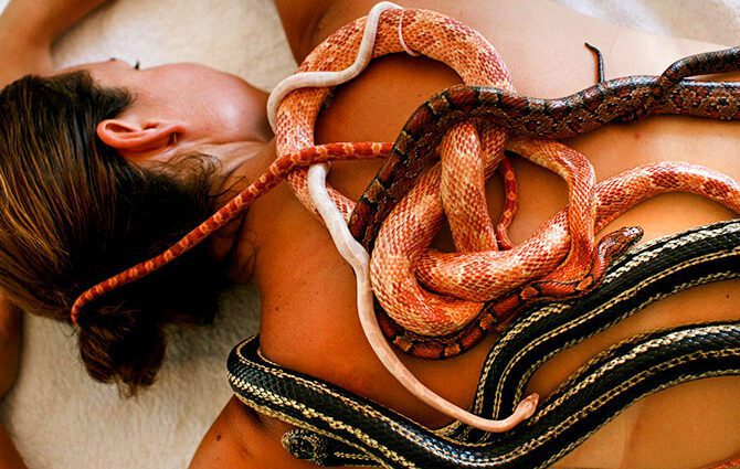 Relaxing back massage with snakes