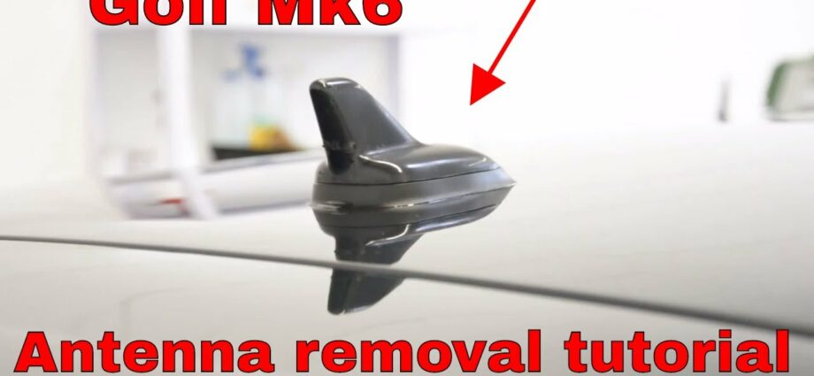 Removal of antennae. Video