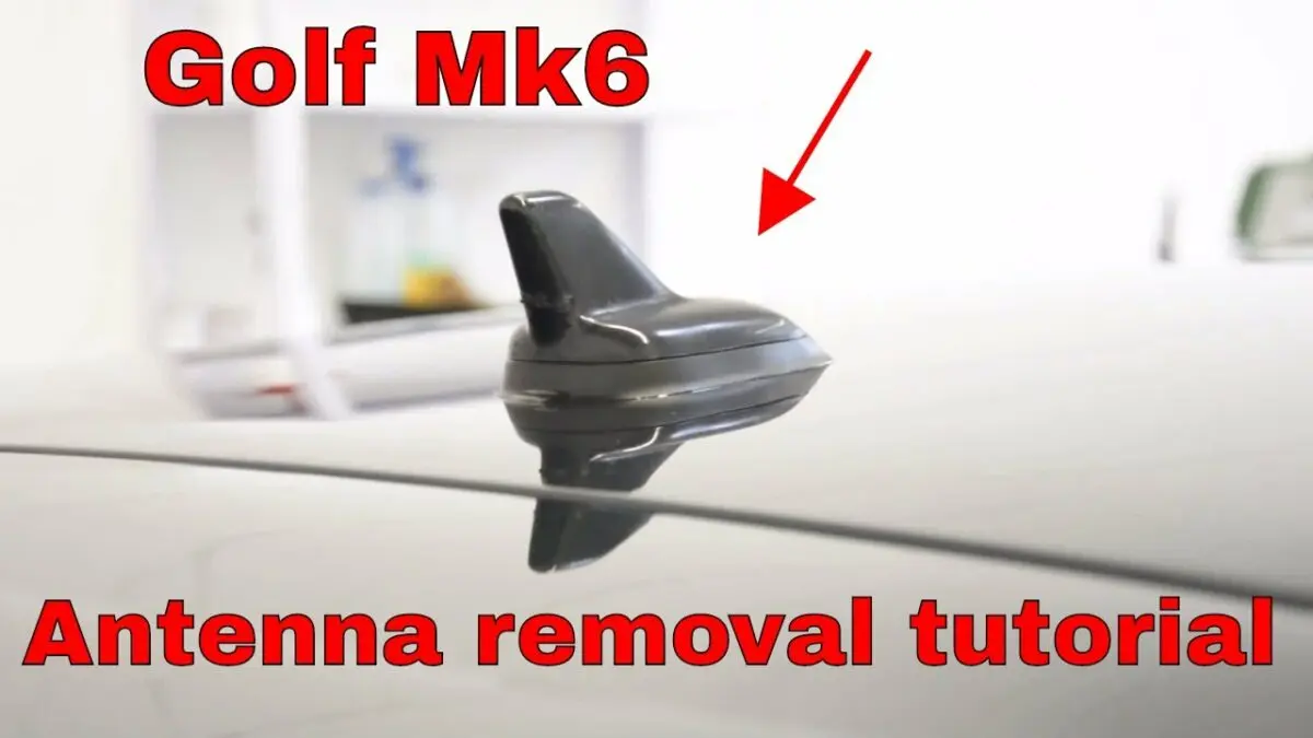 Removal of antennae. Video