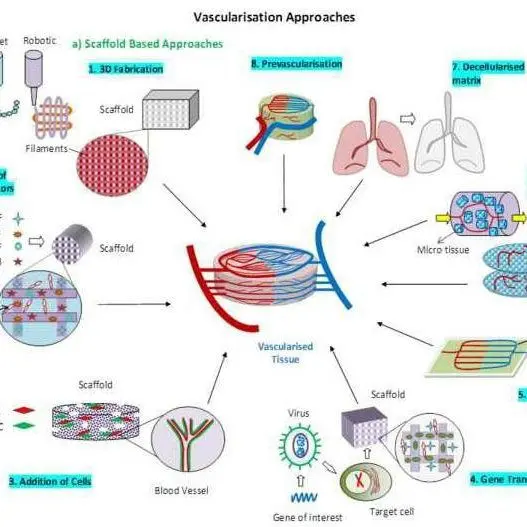 Removal of the vascular network on the legs. Video