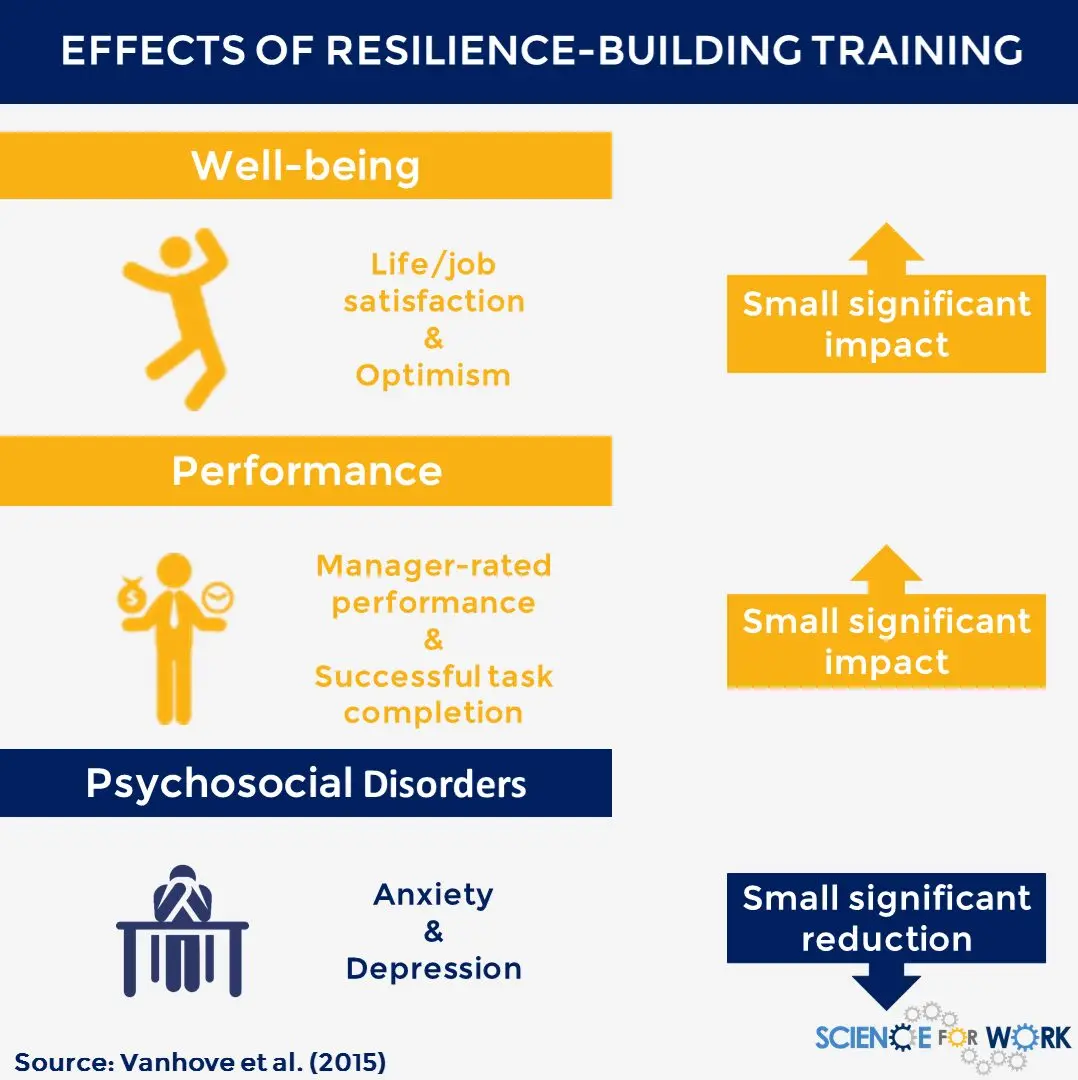 Resilience Workshop V: How to learn from what has been lived in a constructive way