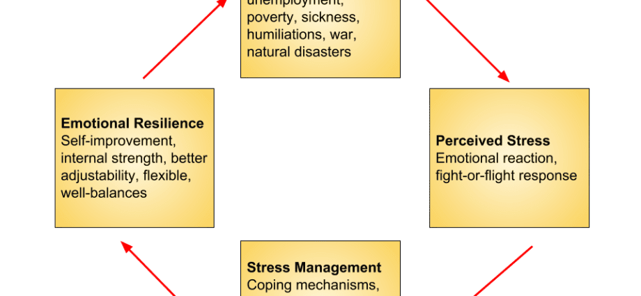 Resilience workshop II: Five styles of reaction to adversity, how to detect which one is possessed and what causes