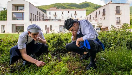 Restaurants with their own garden: from the land to the most exclusive tables