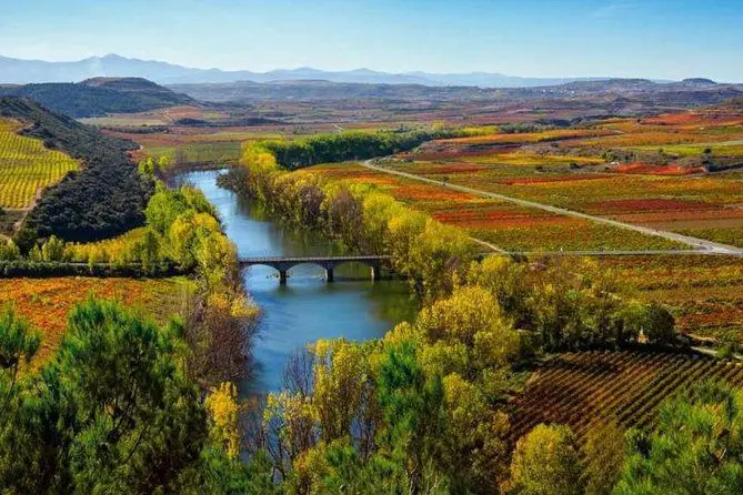 Rioja Alavesa gastronomy and wine tourism