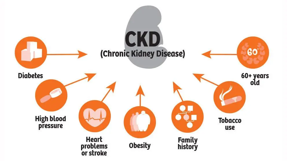 Risk factors for chronic kidney disease