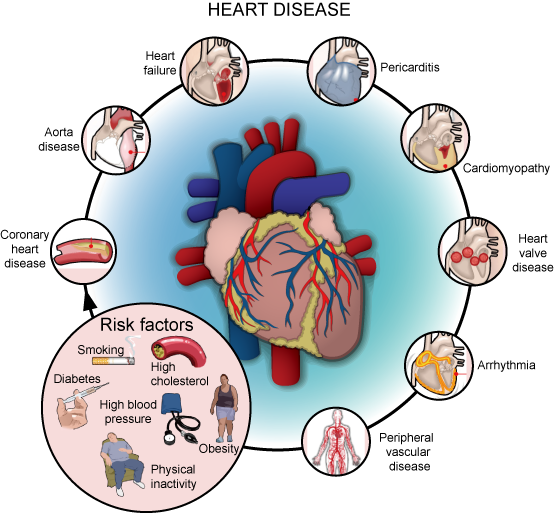 the-5-tests-you-really-need-to-predict-a-heart-attack