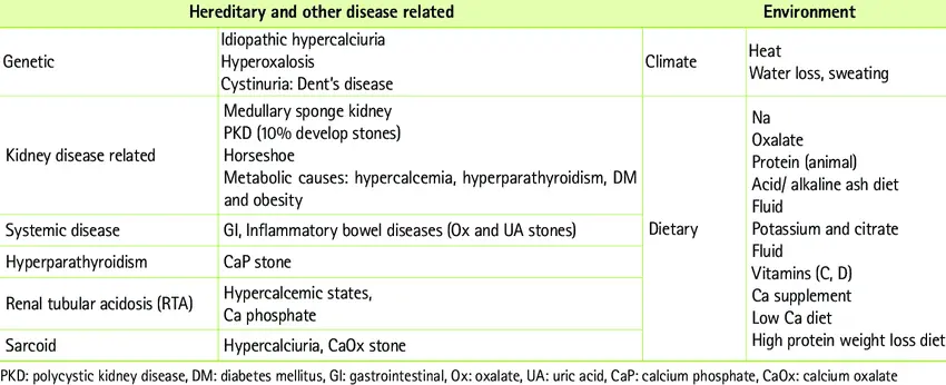 Risk factors for kidney stones (kidney stones)