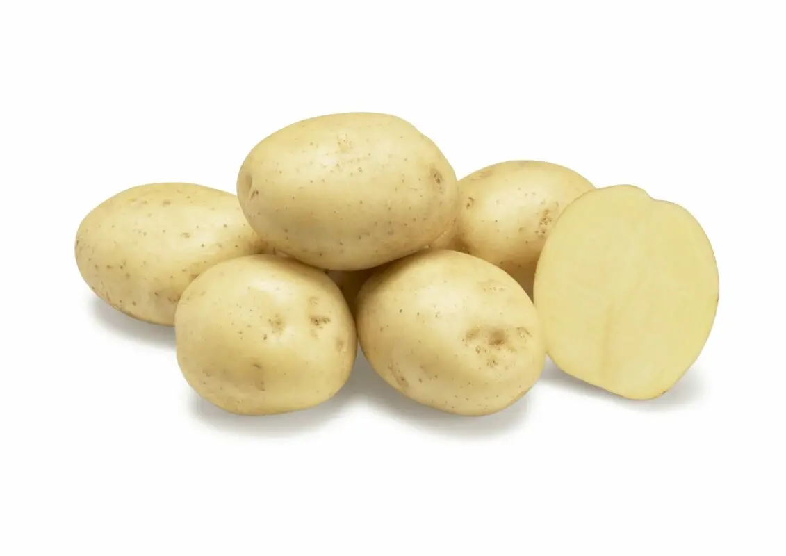 Riviera potato variety