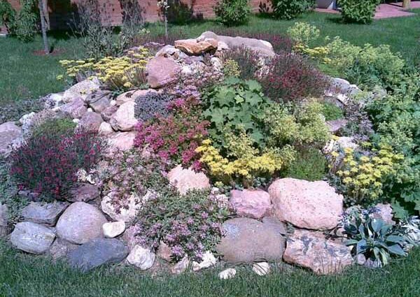 Rockery in landscape design