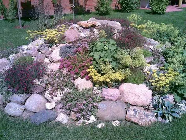 Rockery in landscape design