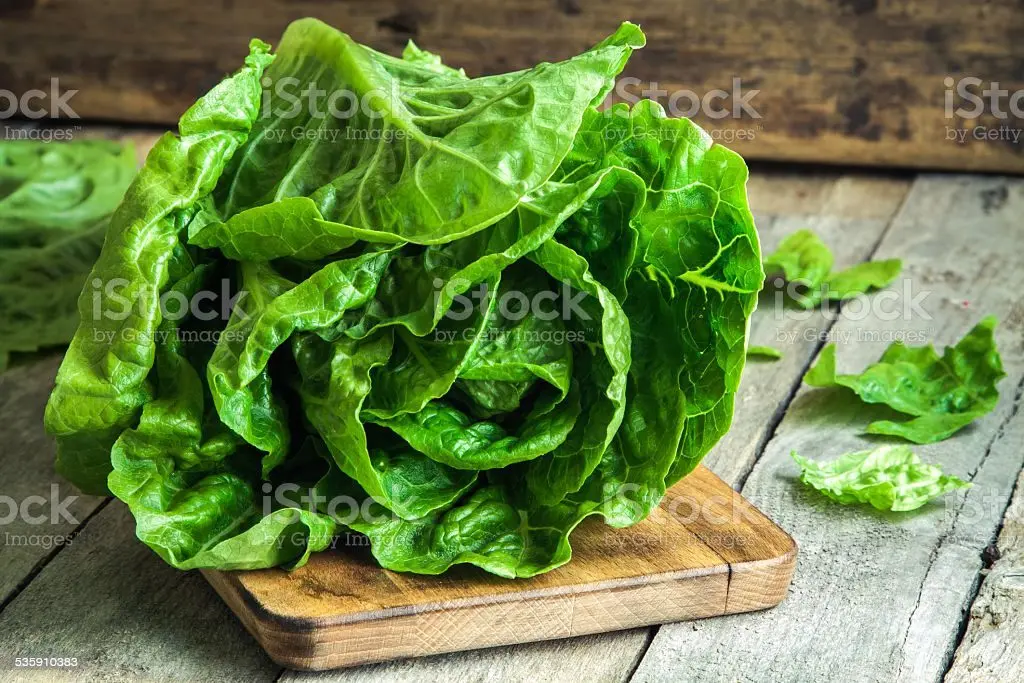 Romano salad, romaine: leaves, what it looks like, calorie content