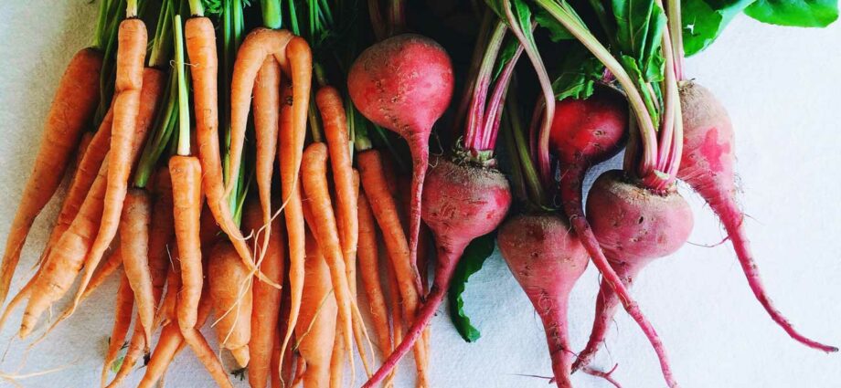 Root vegetables: vegetables included in the root vegetable group