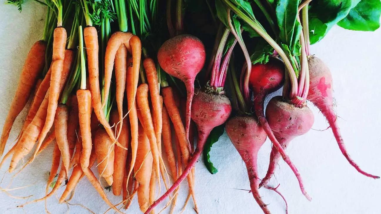 Root vegetables: vegetables included in the root vegetable group