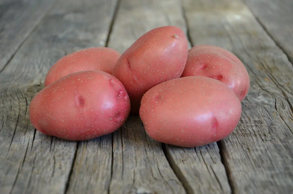 Rosara potatoes: description of the variety, characteristics