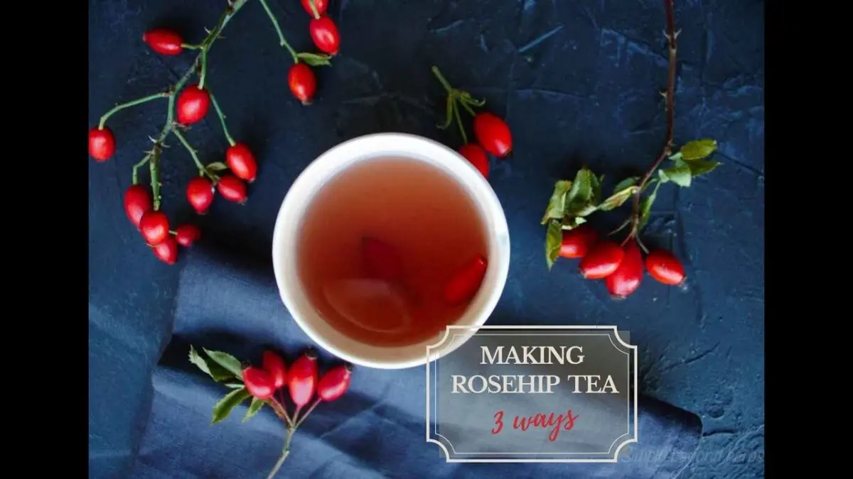 Rosehip tea: video recipe