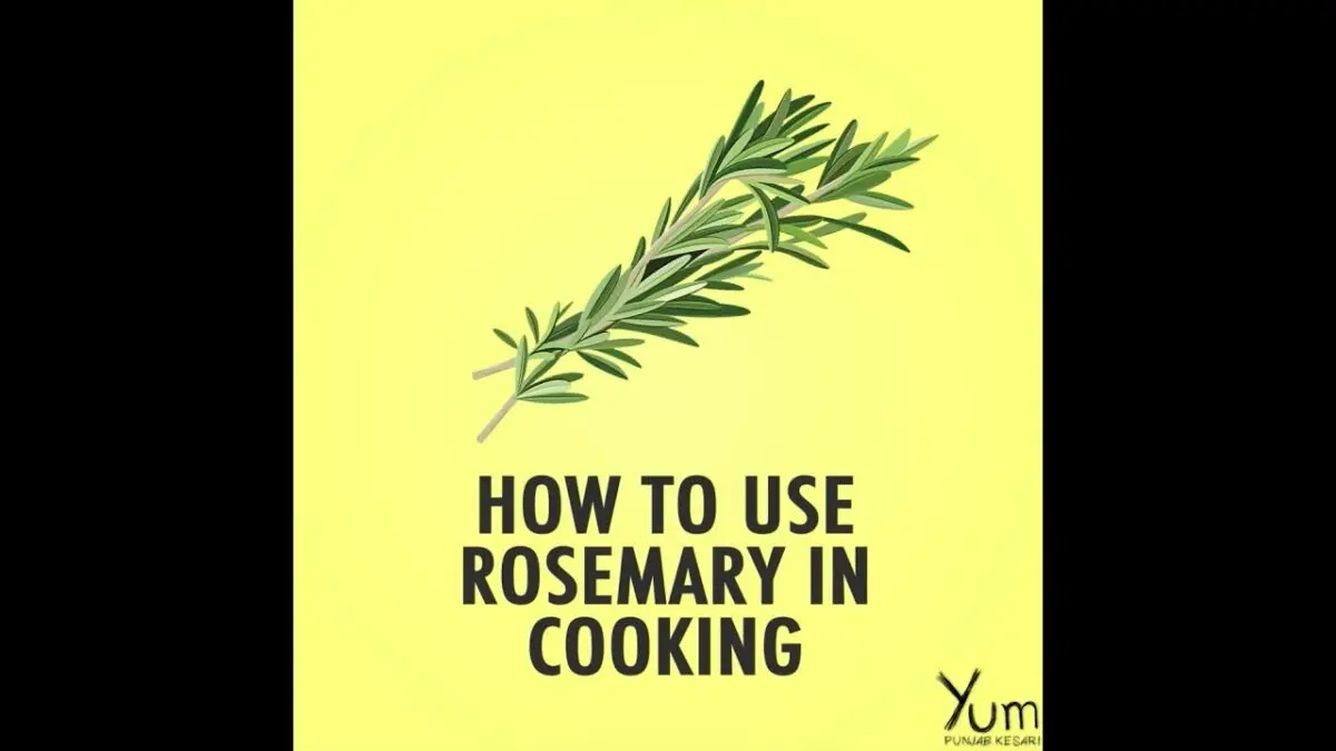 Rosemary: Benefits and Cooking Uses Video