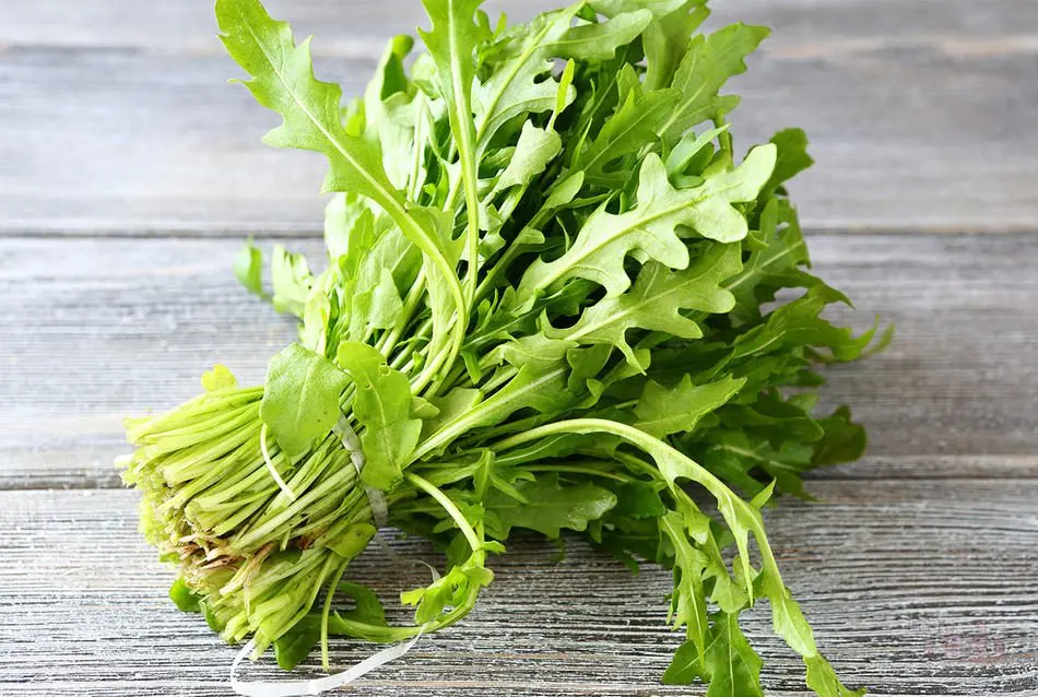 Rucola: useful properties and contraindications. Video