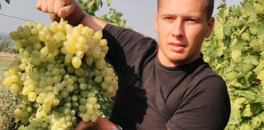 Ruslan grapes &#8211; variety