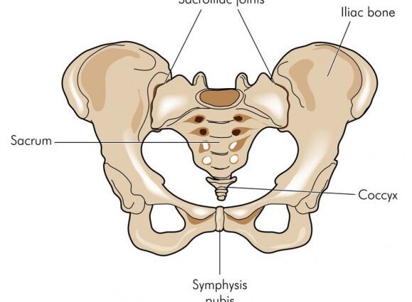 Sacrum