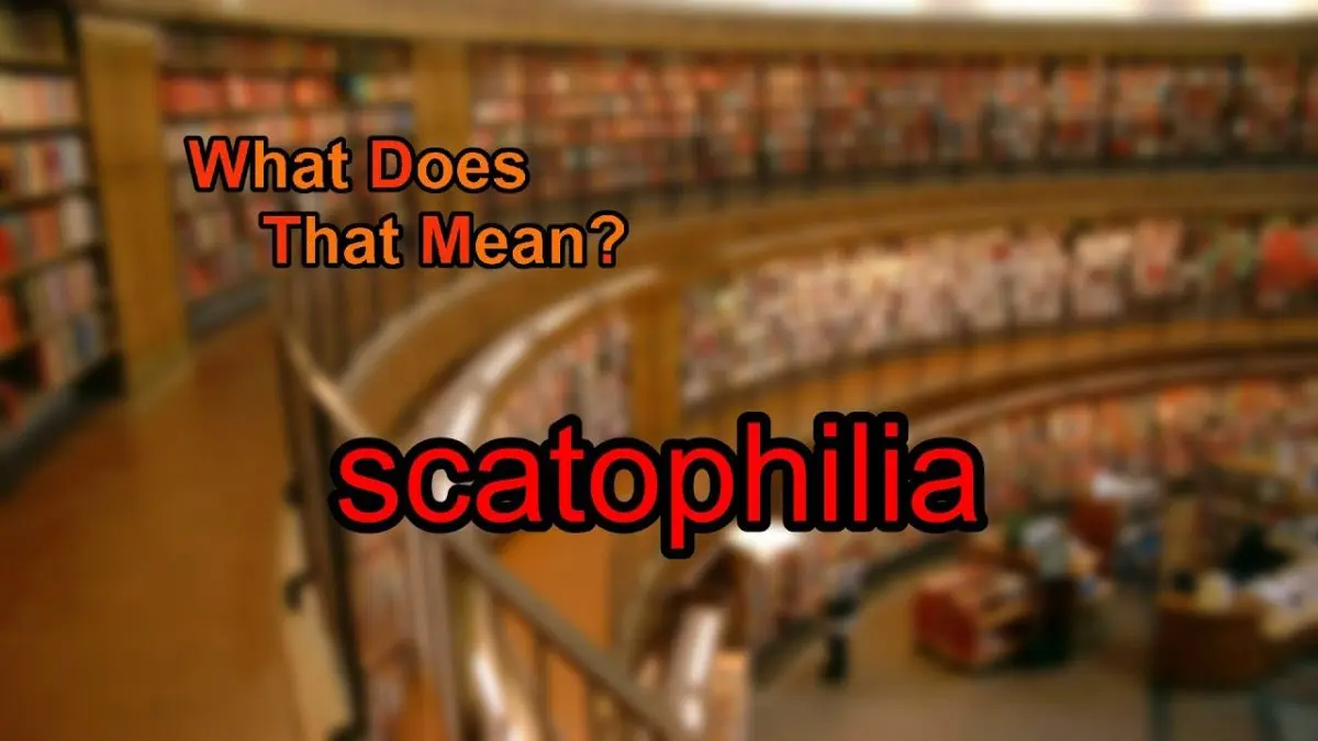 Scatophilia, what is it?